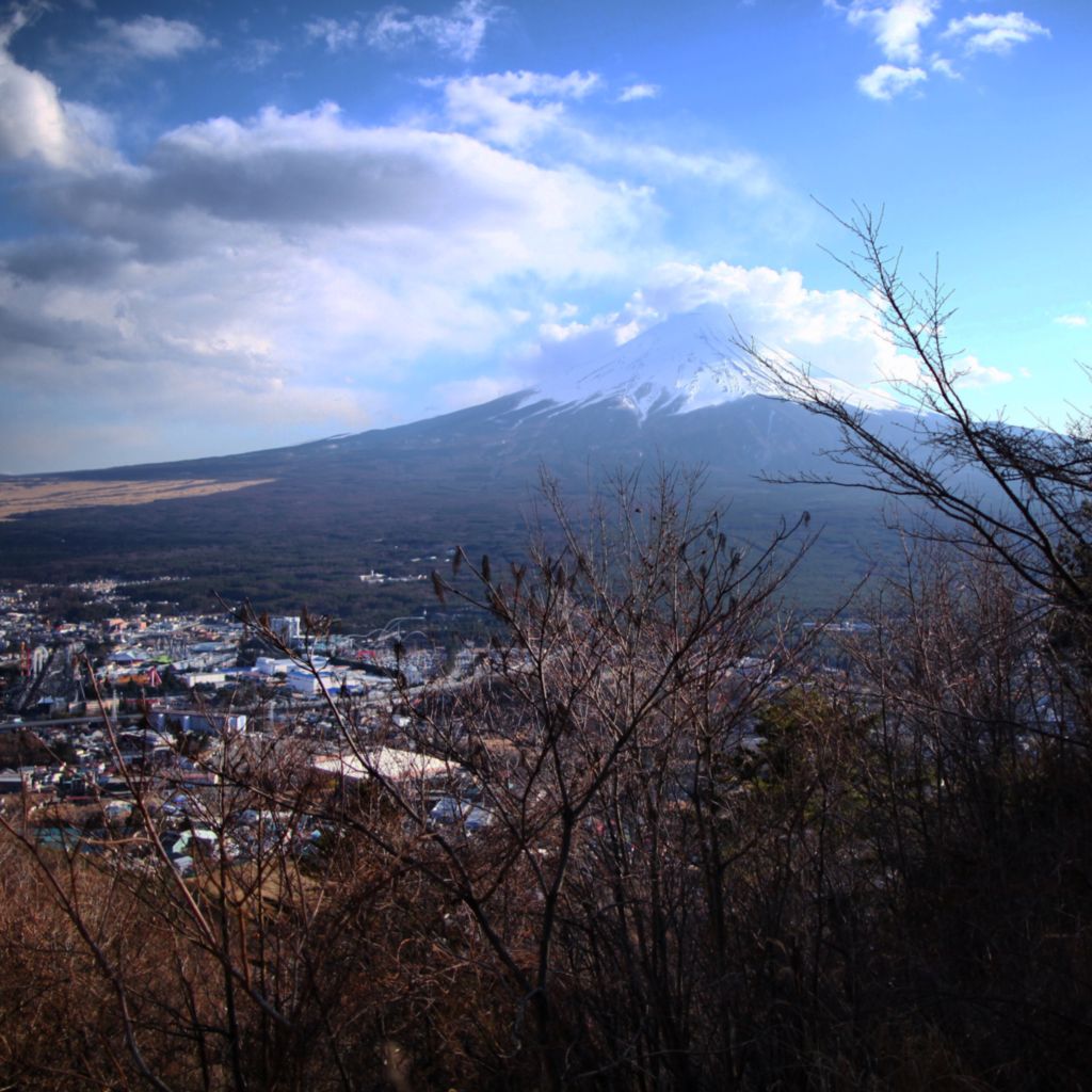 在河口湖旁坐缆车去到半山腰看富士山，更显气势