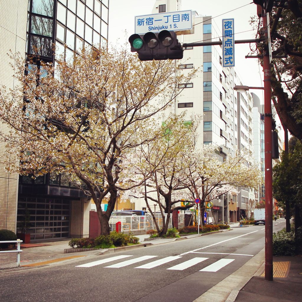 新宿公园门口的路上