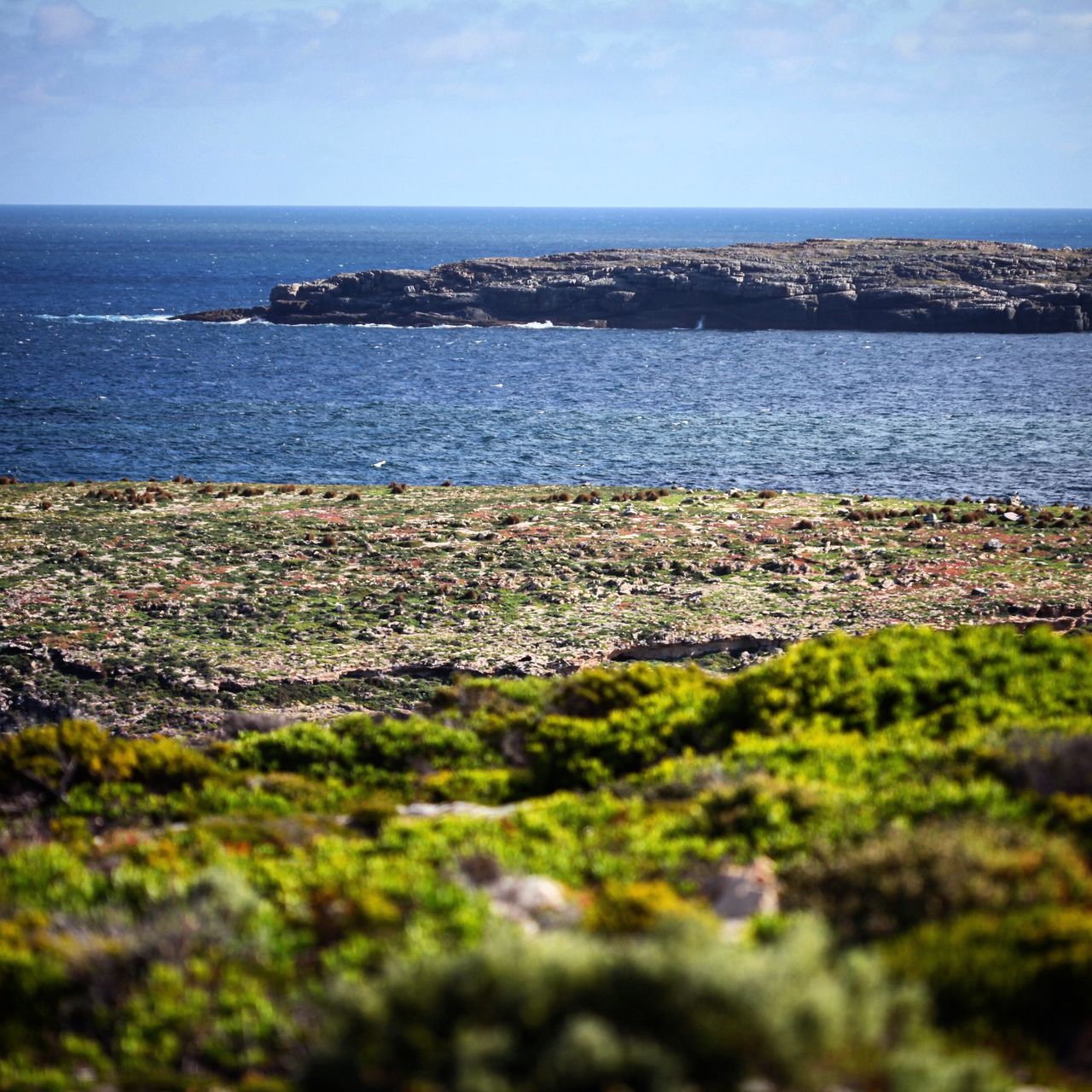 又是一个上不去的小岛