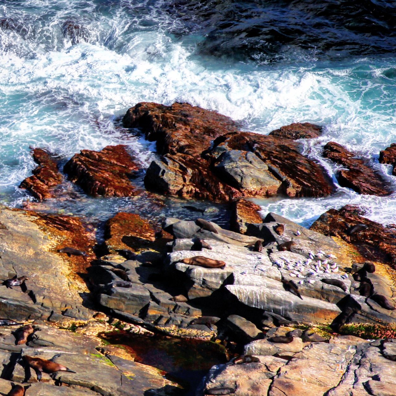 这里是风大浪大