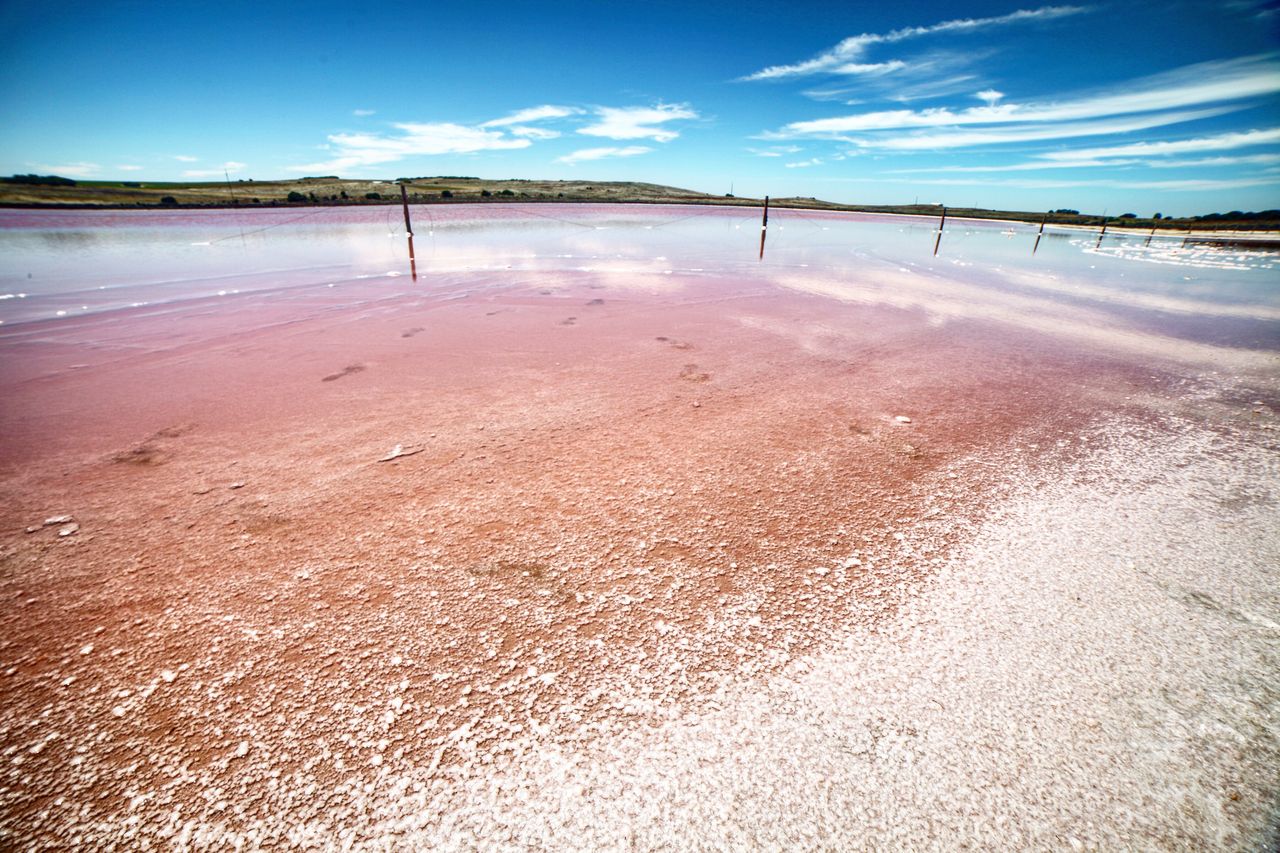真的红得很利害啊