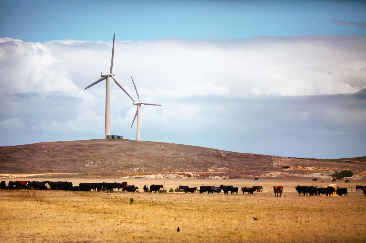 很多时候在海边都会见到风力发电机