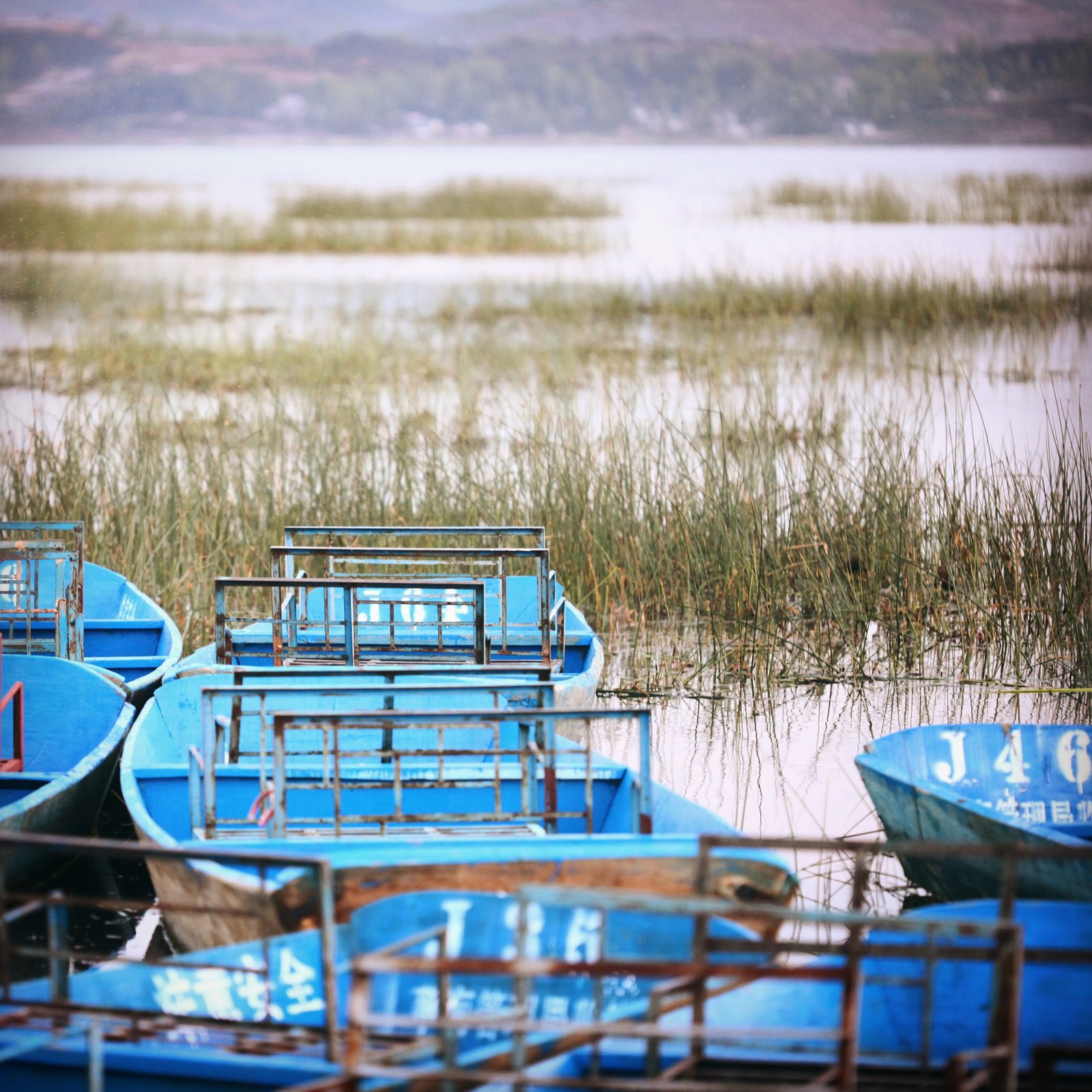 草海草海，脑海中不断的脑补草海应有的样子