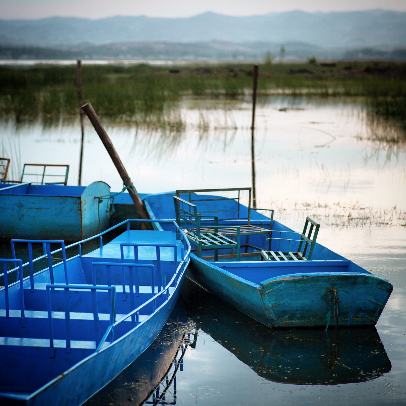 算了，我还是冷静的继续拍游船吧