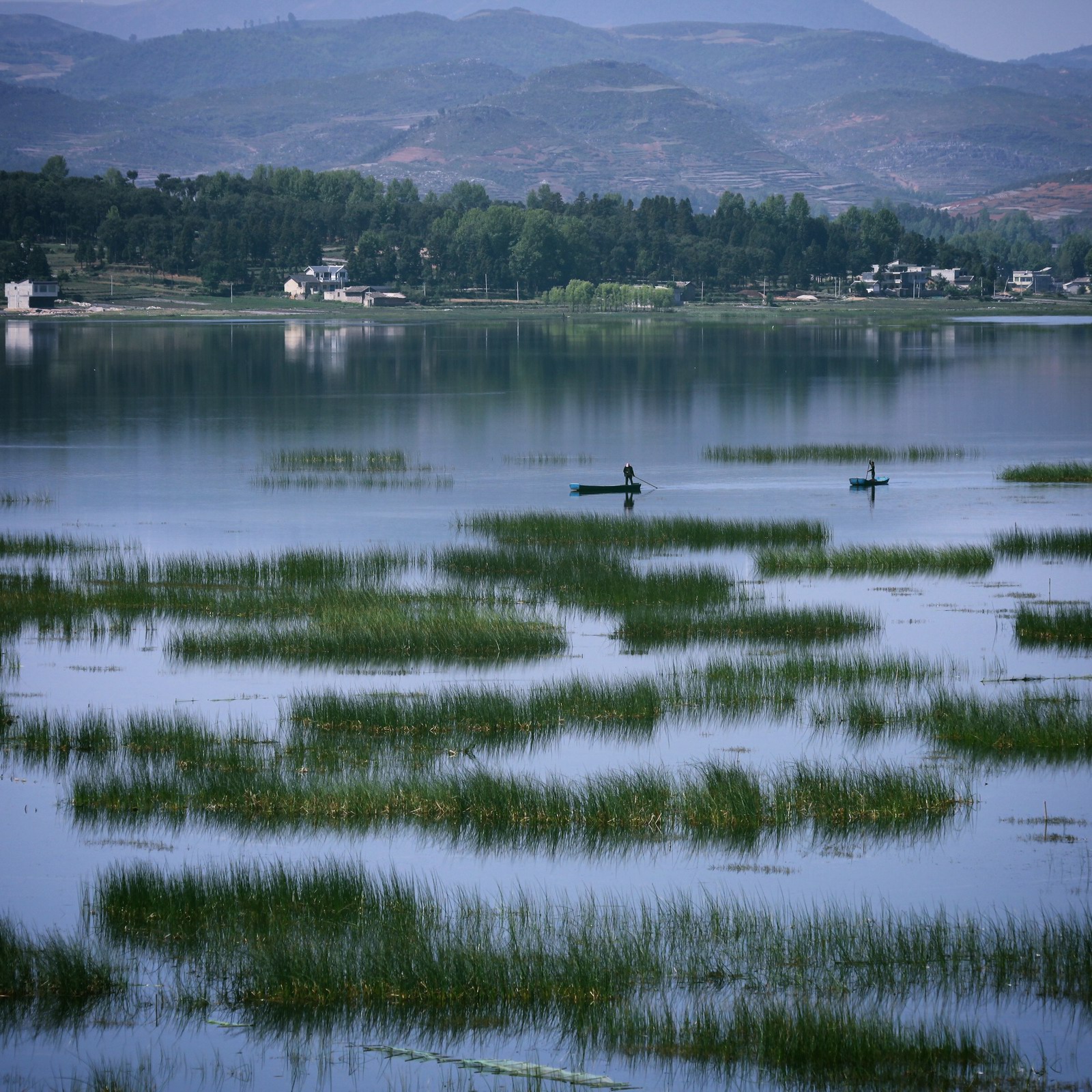从没想过在高原上能看到这番景象