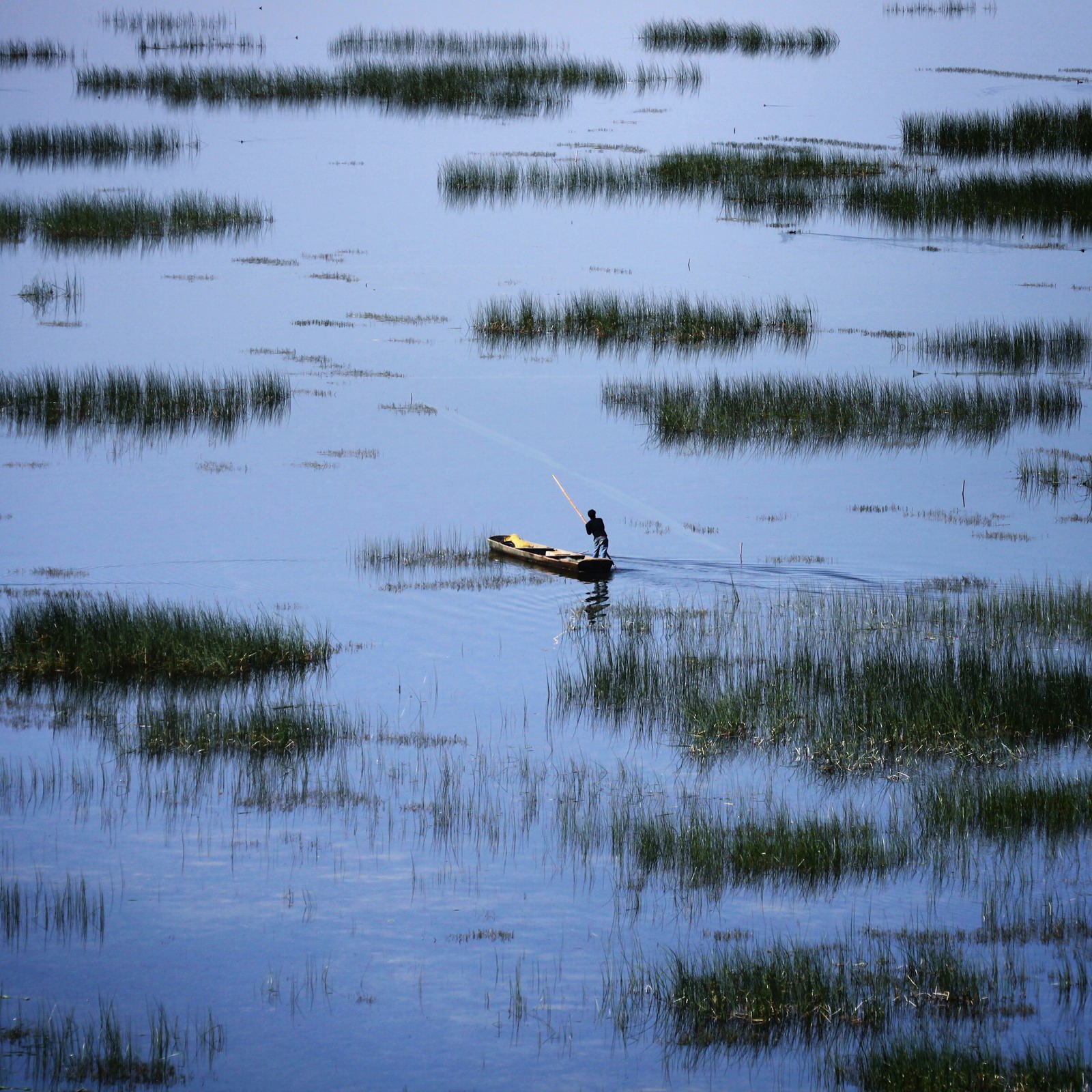 张张看上去都差不多，但事实上又有不同