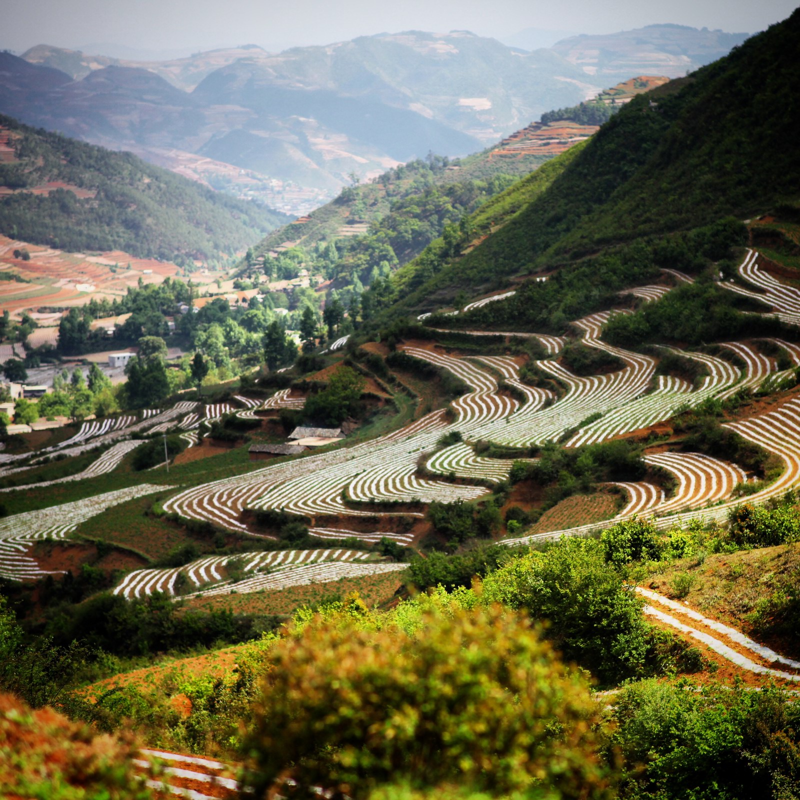 这么多座山，哪座才是马摆啊？