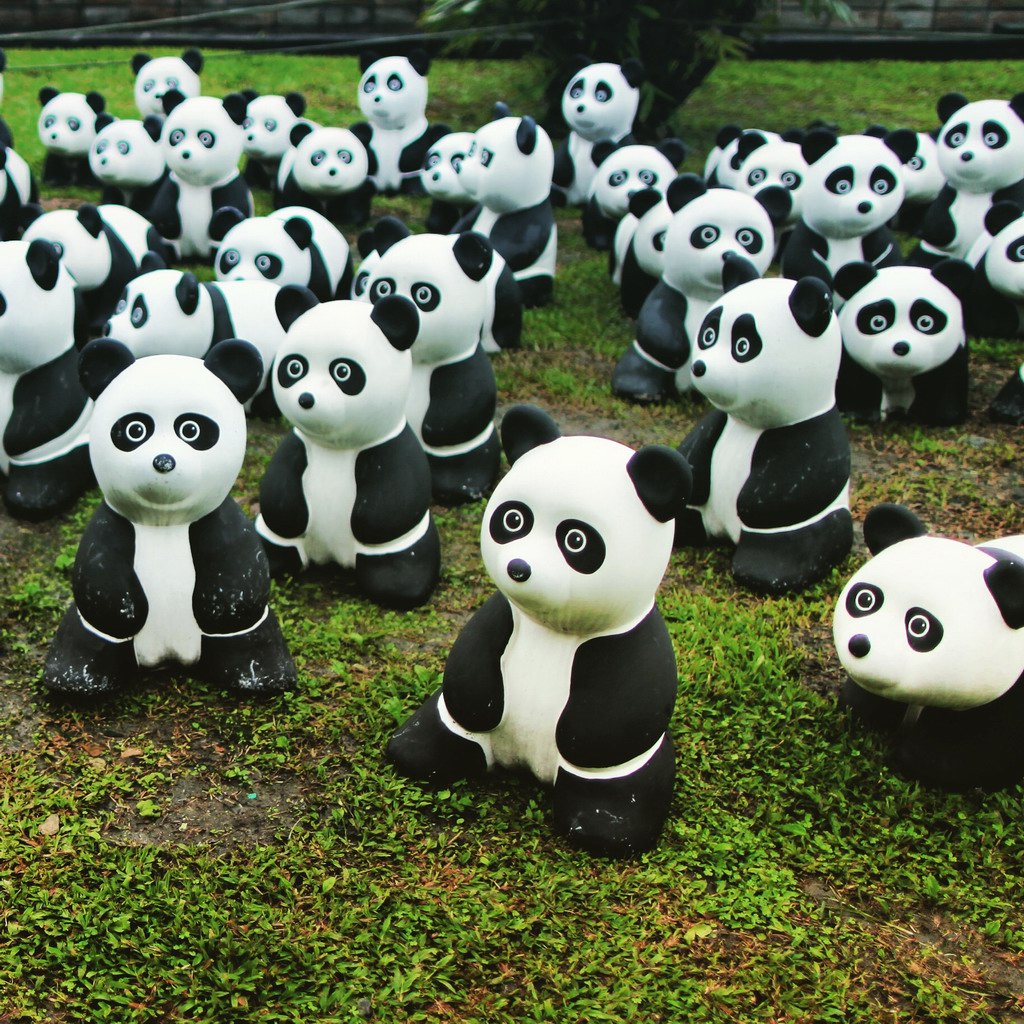 这堆熊猫放在冷泉的广场……实在搞不懂