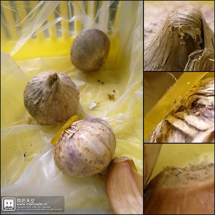 蒜头……质感还原可以