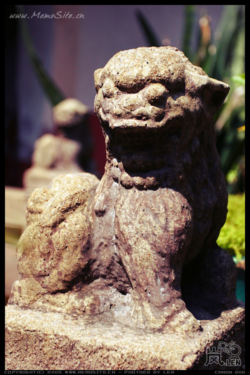 庙内久经风雨的石狮子