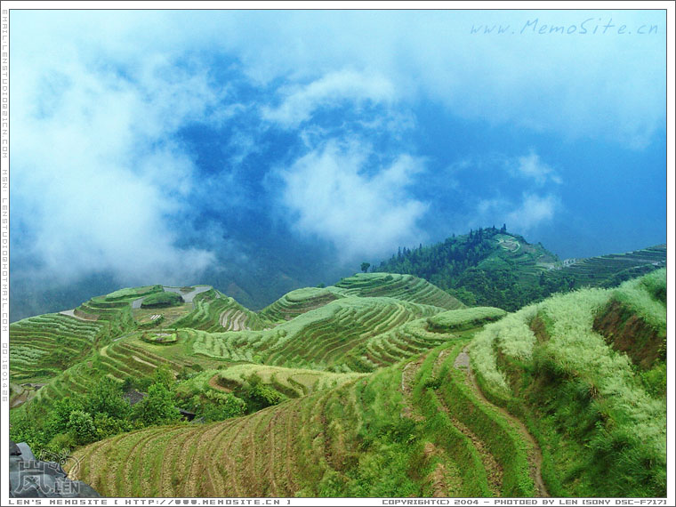 再次回望一下窗外的平安寨，下一次不知道要什么时候才会再来了。