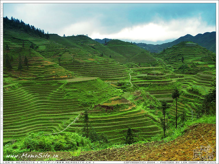 好不容易翻过第一座大山，见到了这片巨型的梯田区。