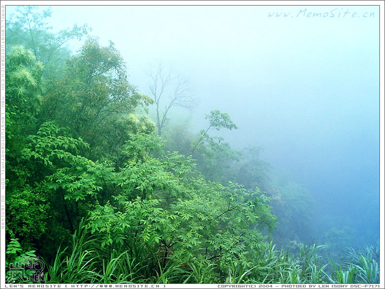 半山上，中途汽车水箱过热，看到悬崖下白云片片，一片烟雾弥漫的景色。