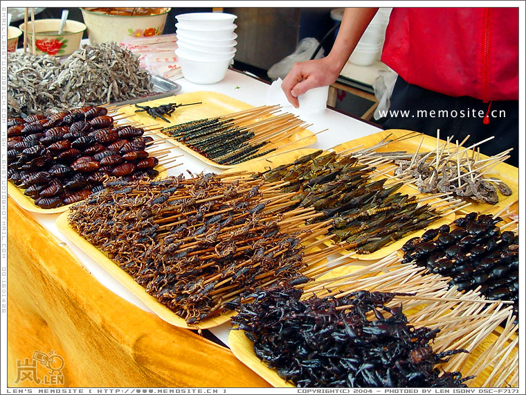 广州美食节·高蛋白篇