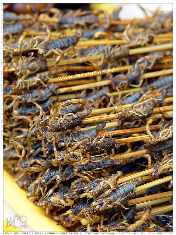 蝎子啊～～不知道吃了是不是会预防风湿？