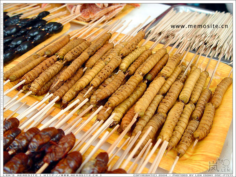 最后还是试了一下这些虫子，感觉吃不出什么特别出来，反正吃了也就吃了！