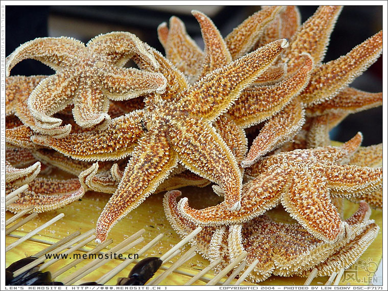 广州美食节·水产篇