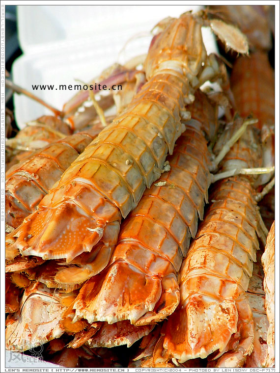 赖尿虾，算是这次美食节出现率最高的水产了。每个摊位都在攀比自己的虾如何如何的大只。