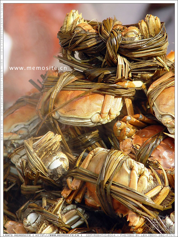 大闸蟹啊，价格当然是爆贵的天价了。给镜头尝尝鲜就走人了，反正都没打算吃，看多也没意思。