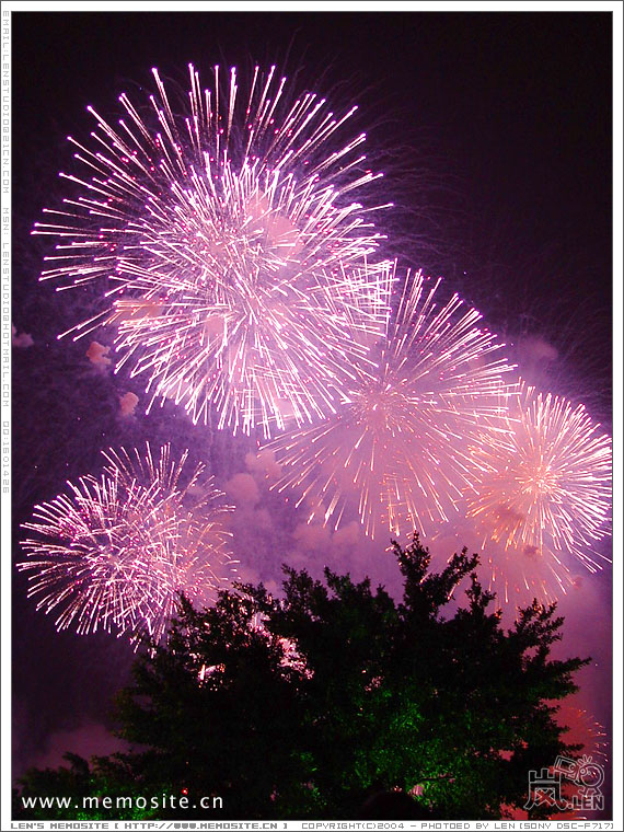0122 firework 02