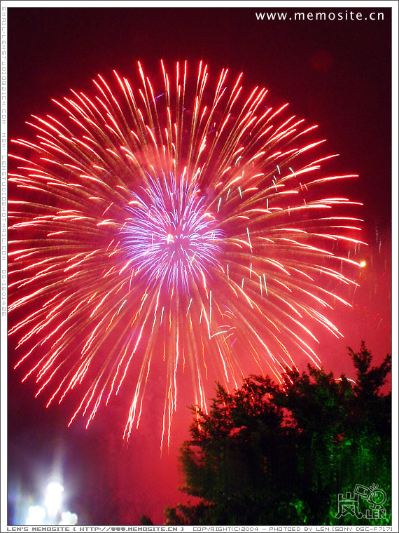 0122 firework 06