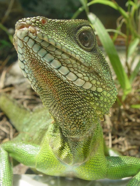 唔好太过相信717的锐利度啊，睇睇原图就知道了。又係起底时间啦！