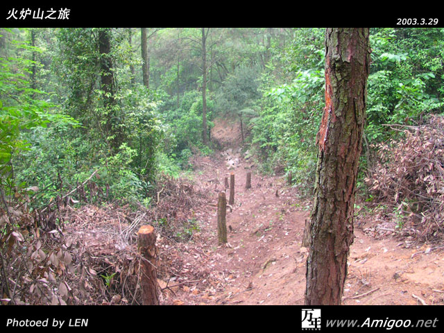 这是我们碰到的第二个有岔路的地方，两个专业友继续探路中，我们在此小休了一会，看见了一条山路，估计是有头野猪失足滚下山造成的～～
